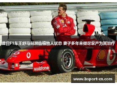 昔日F1车王舒马赫濒临植物人状态 妻子多年来倾尽家产为其治疗