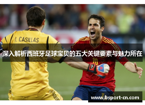深入解析西班牙足球宝贝的五大关键要素与魅力所在