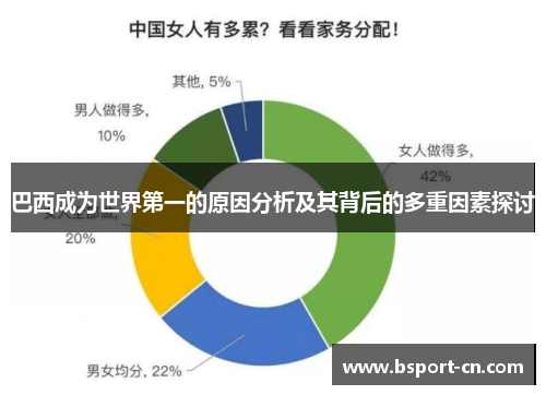 巴西成为世界第一的原因分析及其背后的多重因素探讨