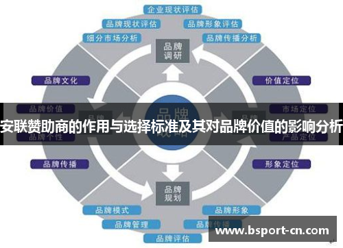 安联赞助商的作用与选择标准及其对品牌价值的影响分析