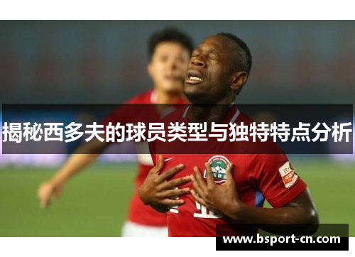揭秘西多夫的球员类型与独特特点分析